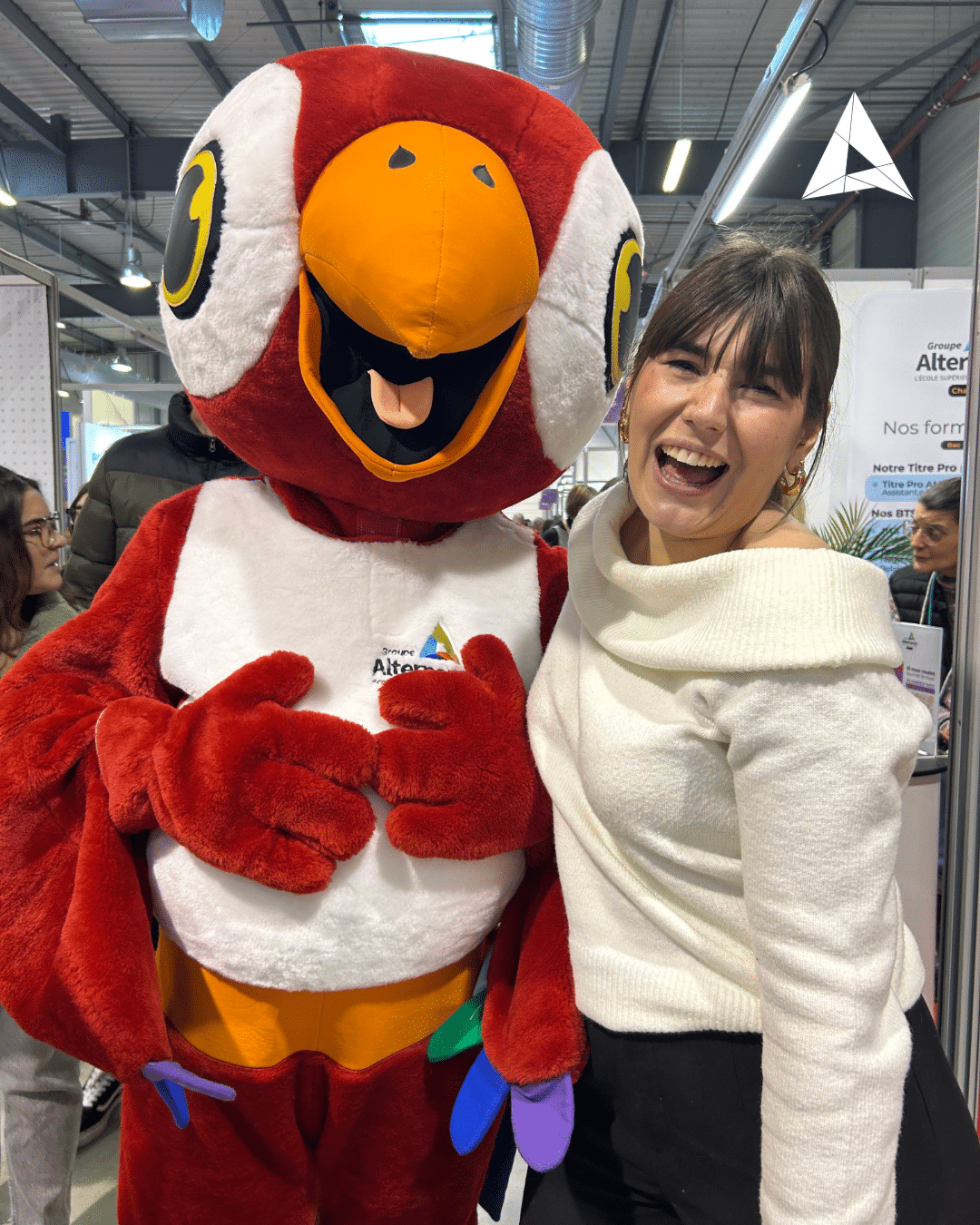 Paco, la mascotte sur nos salons