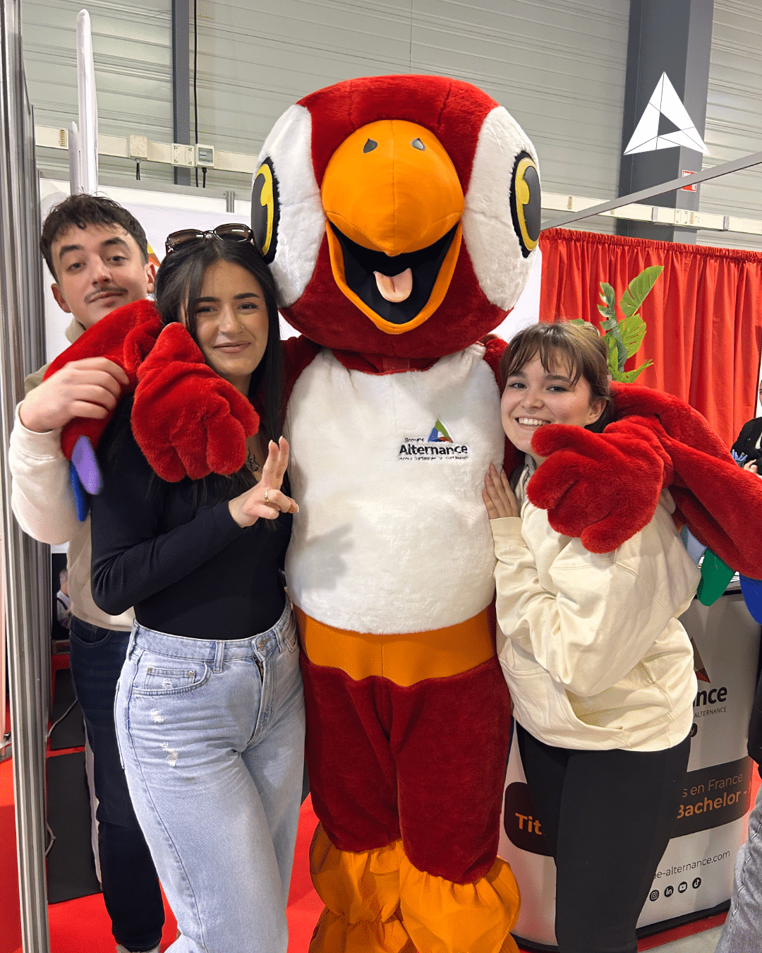 Paco, la mascotte sur nos salons