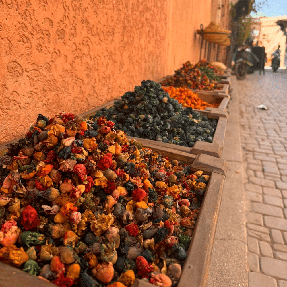 Marrakech - voyage Groupe Alternance Strasbourg